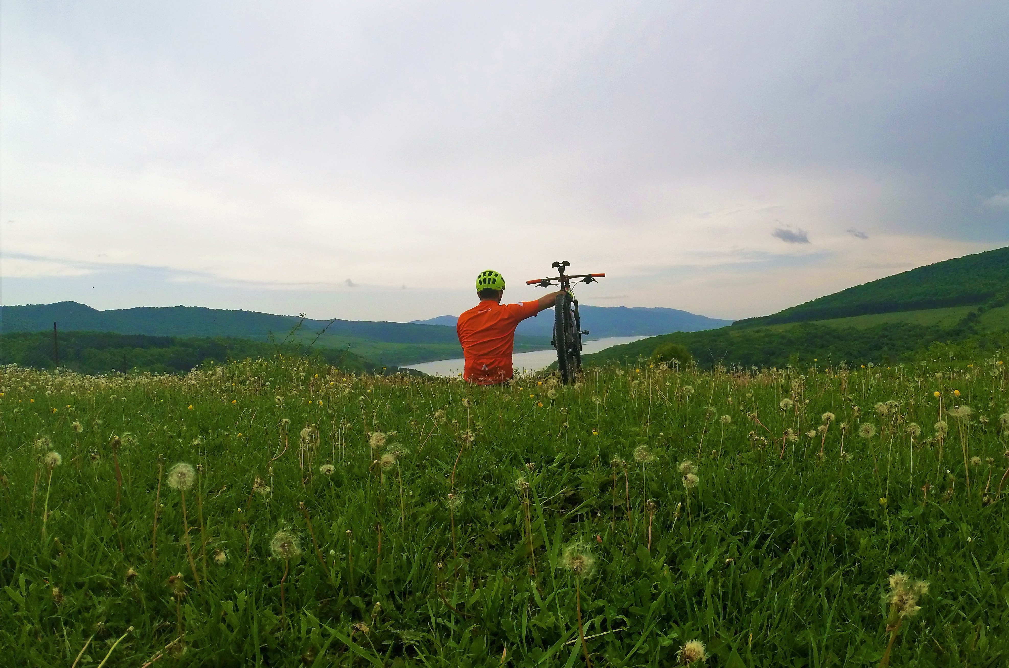 პროფესიონალი ველო გამყოლები