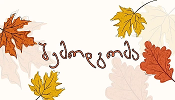 შემოდგომა ველოზე უნდა გაატარო 💥