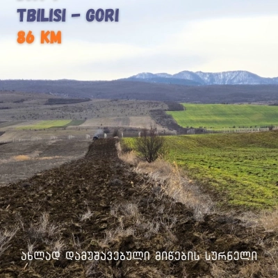 თბილისიდან მესტიაში - ზამთრის ველოტური