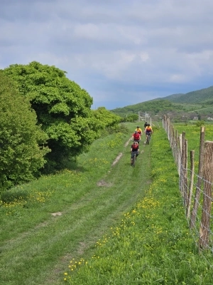 4 Mountain Bike Routes Near Tbilisi