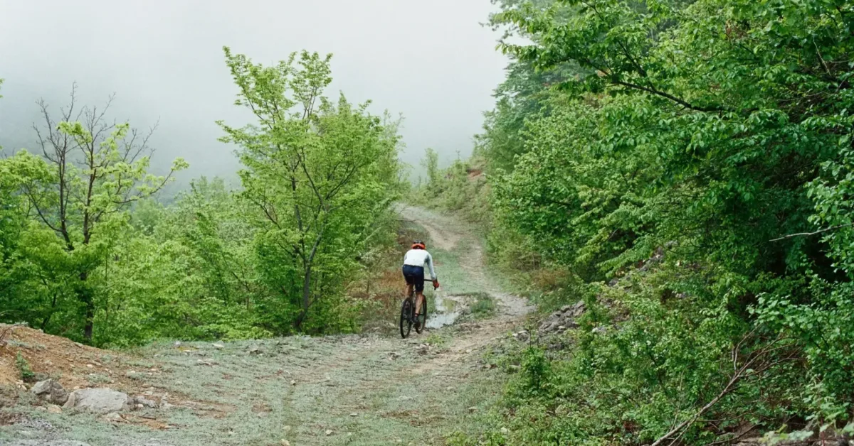 გაზაფხულის ველო თავგადასავალი 🌱