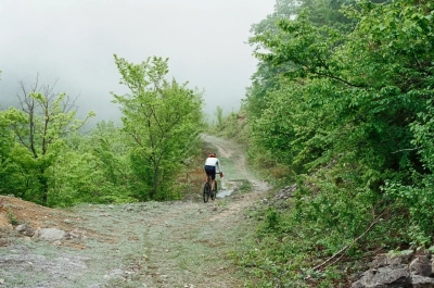 გაზაფხულის ველო თავგადასავალი 🌱
