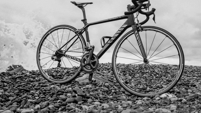 იყიდება ემოციები რომლებიც ბედნიერებას მოგიტანს!