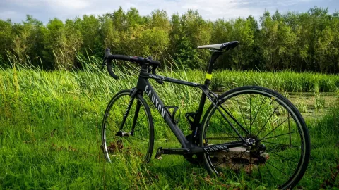 იყიდება ემოციები რომლებიც ბედნიერებას მოგიტანს!