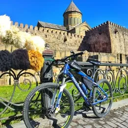 იყიდება ველოსიპედი Rockrider ST540