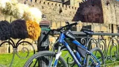 იყიდება ველოსიპედი Rockrider ST540