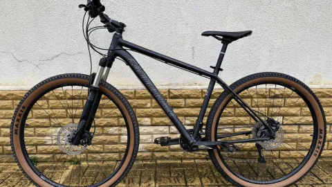 იყიდება ველოსიპედი Cannondale Trail SL 1 2021