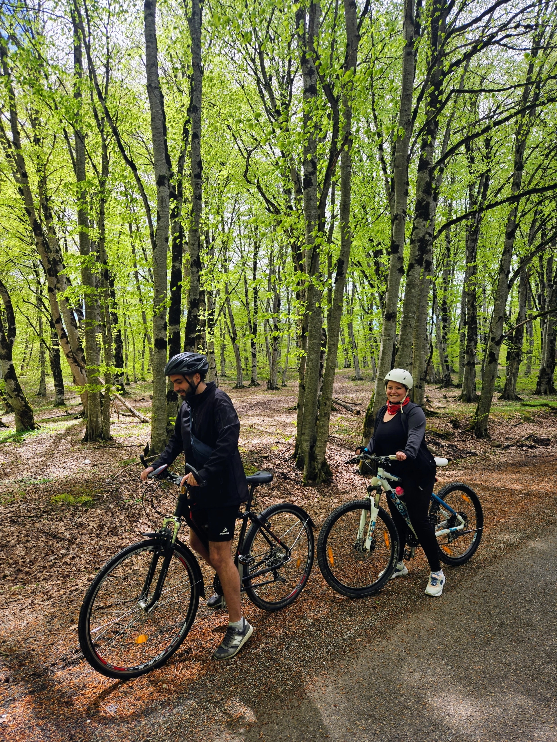 Sabaduri Forest to Sioni Reservoir Cycling Tour