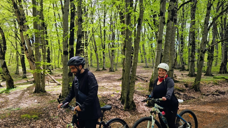 საბადურის ტყე – სიონის წყალსაცავი