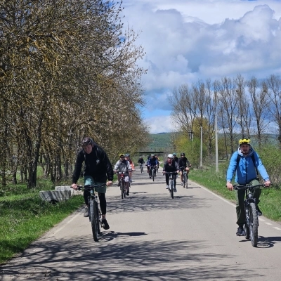Sabaduri Forest to Sioni Reservoir Cycling Tour