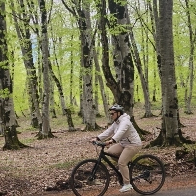 Sabaduri Forest to Sioni Reservoir Cycling Tour