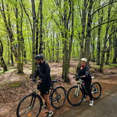 Sabaduri Forest to Sioni Reservoir Cycling Tour